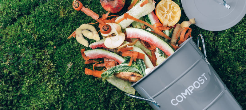 5 tips for a clean food waste bin this summer!