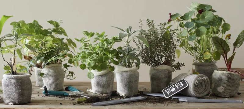 Die 10 besten nachhaltigen Geschenke für Männer – zum Vatertag!