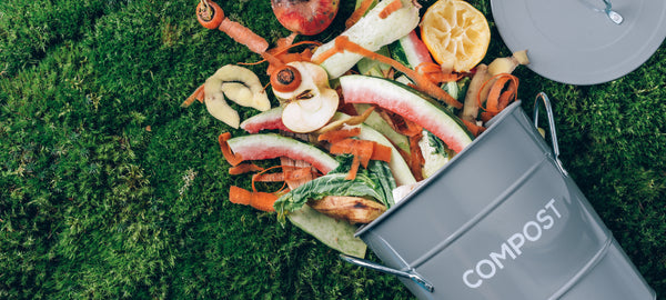8 Tips for Keeping Your Organic Waste Bin Fresh and Clean This Summer