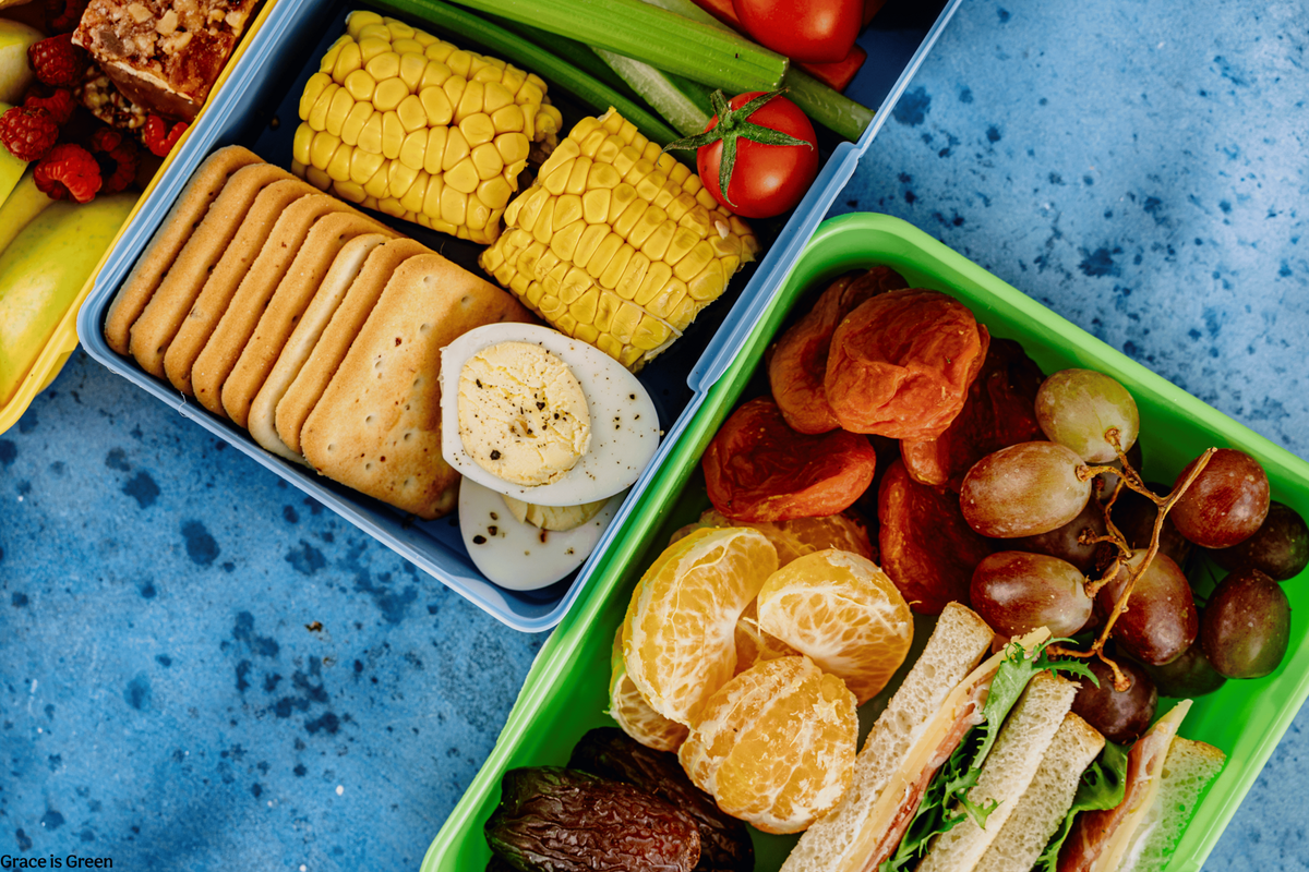 Plastic-Free School Lunch: What You Really Need
