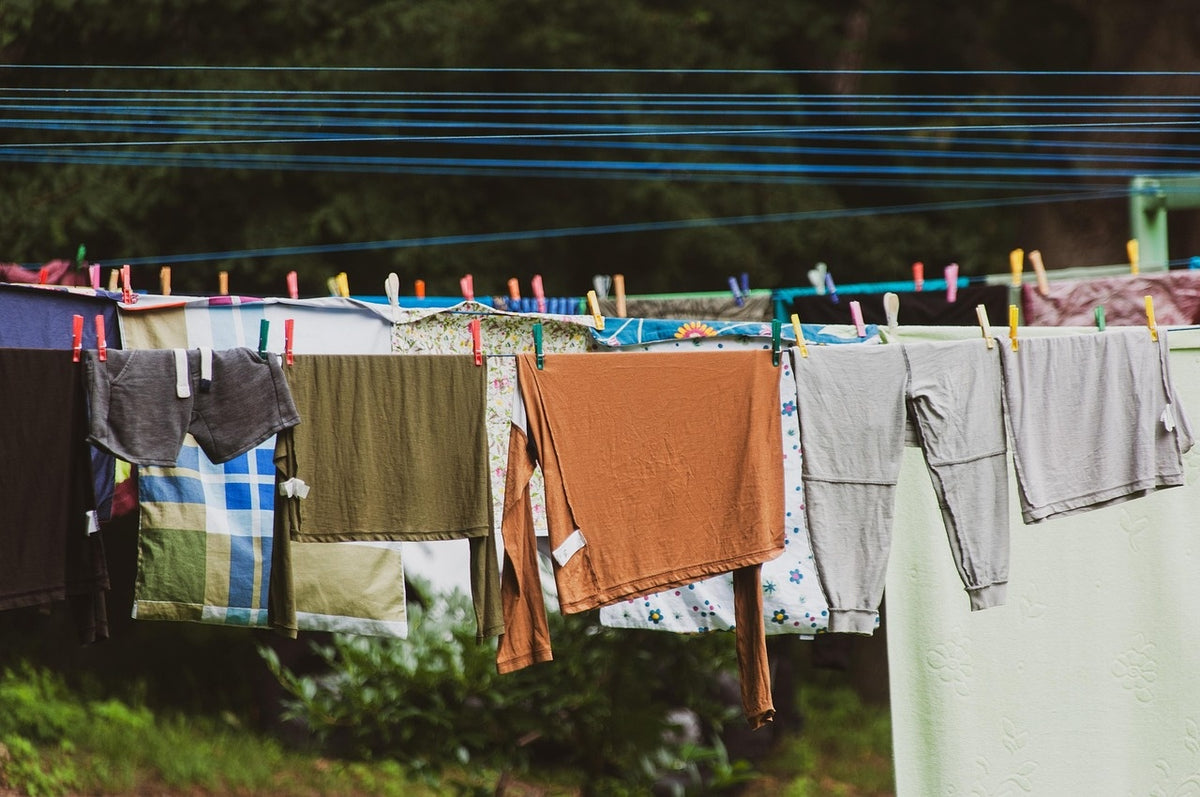 Liquid or Powder Detergent? This Is the Ultimate Guide for You
