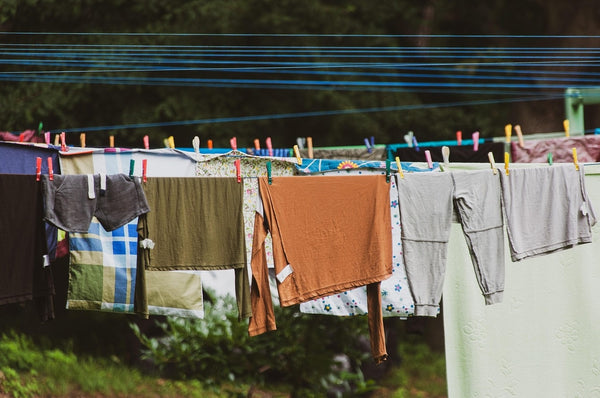 Liquid or Powder Detergent? This Is the Ultimate Guide for You
