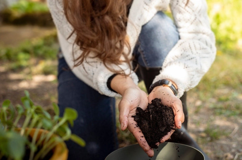 How to Make Your Own Compost Like a Pro