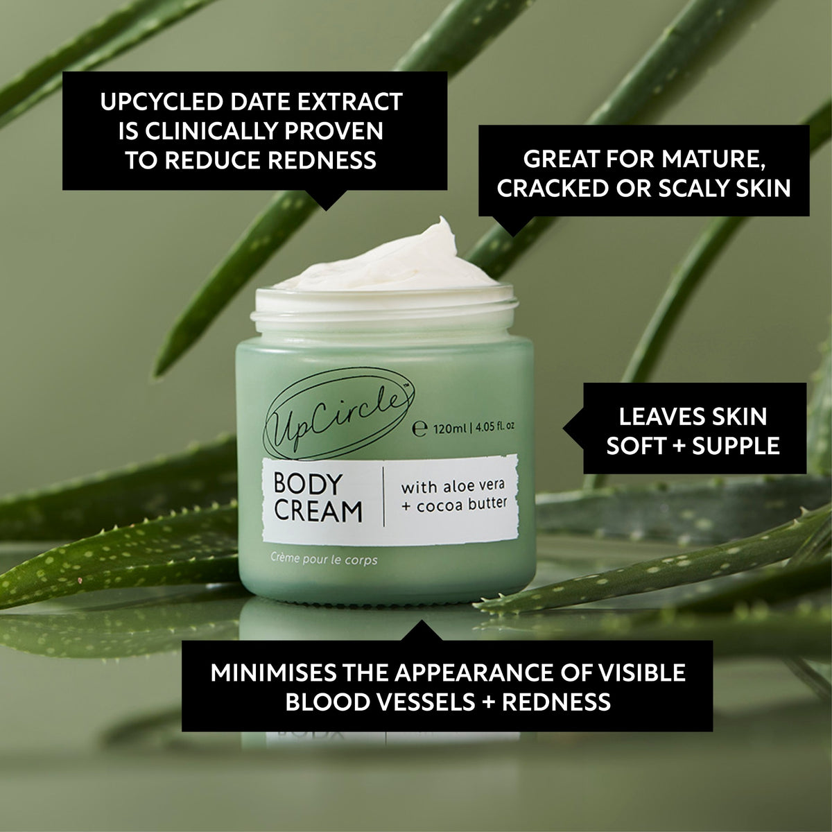 Body Cream – Date Extract – 120 ML