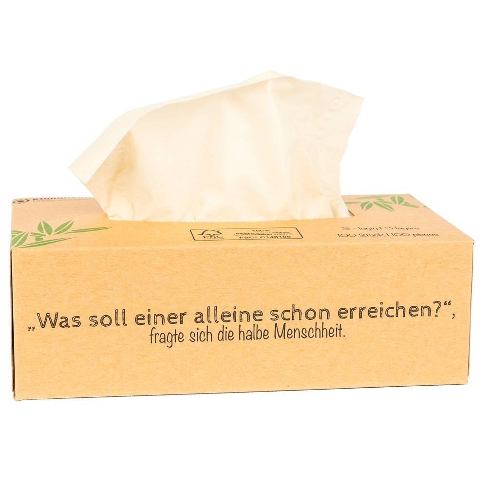 Tissues bamboo - 1 box - 100 tissues
