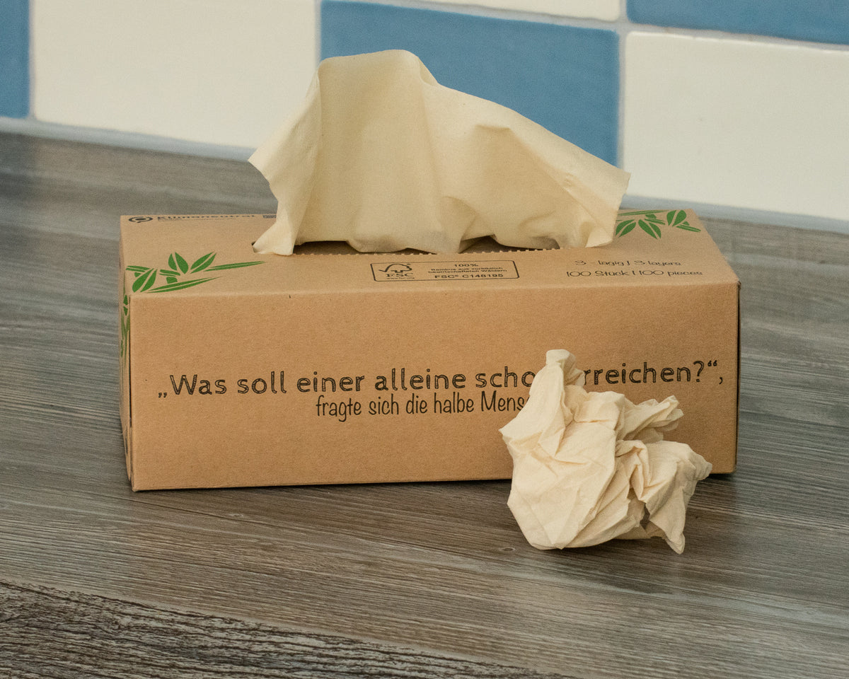 Tissues bamboo - 1 box - 100 tissues