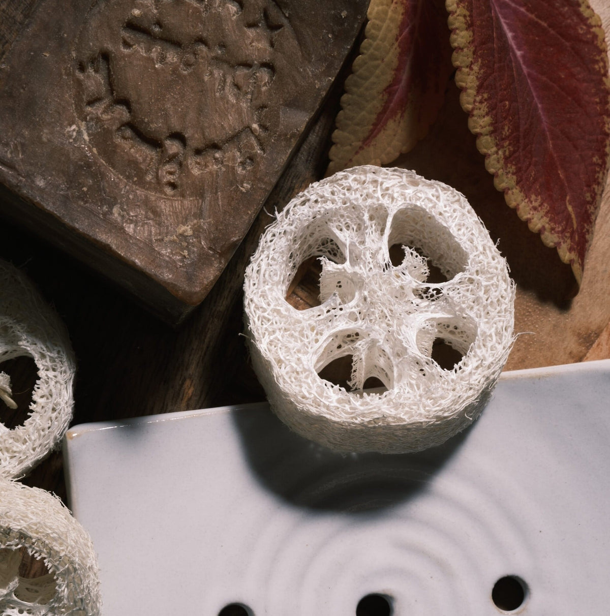 Eanna - Luffa Soap Dish
