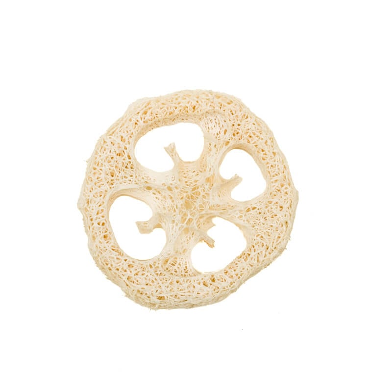 Eanna - Luffa Soap Dish