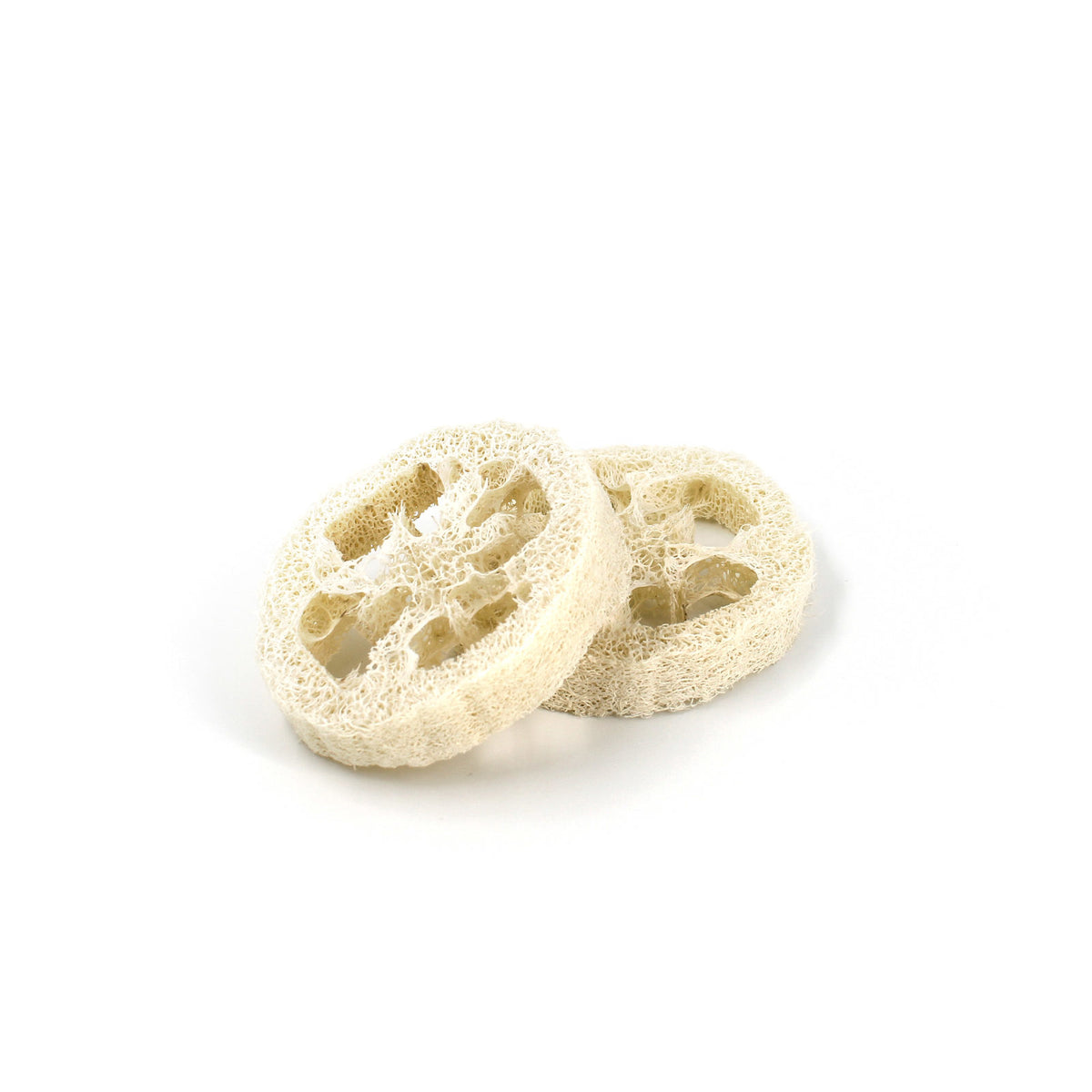 Shampoo or Soap Holder - Compostable