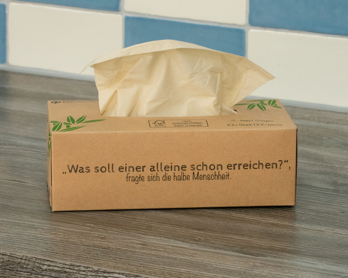 Tissues bamboo - 1 box - 100 tissues