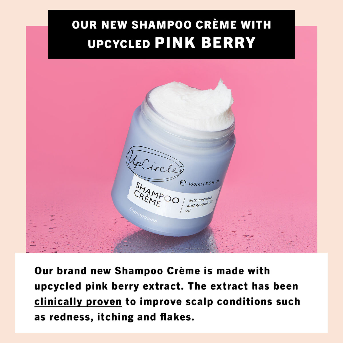 Shampoo Cream – Leftover Pink Berries – 100 ML