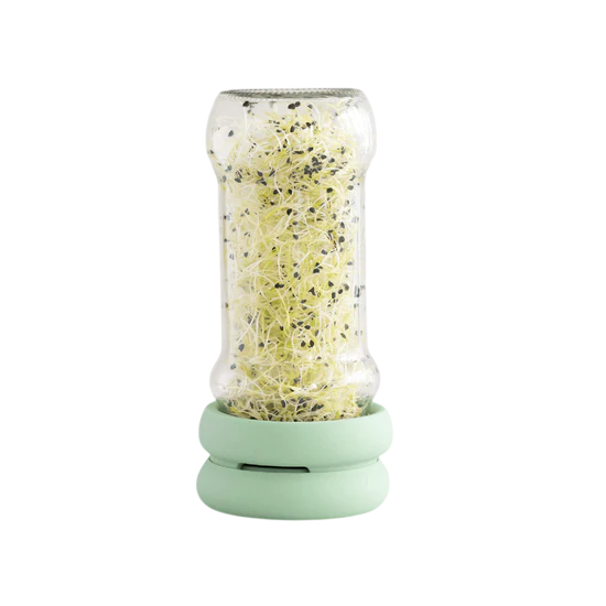 Food Hugger - Sprout Huggers - Sage Green
