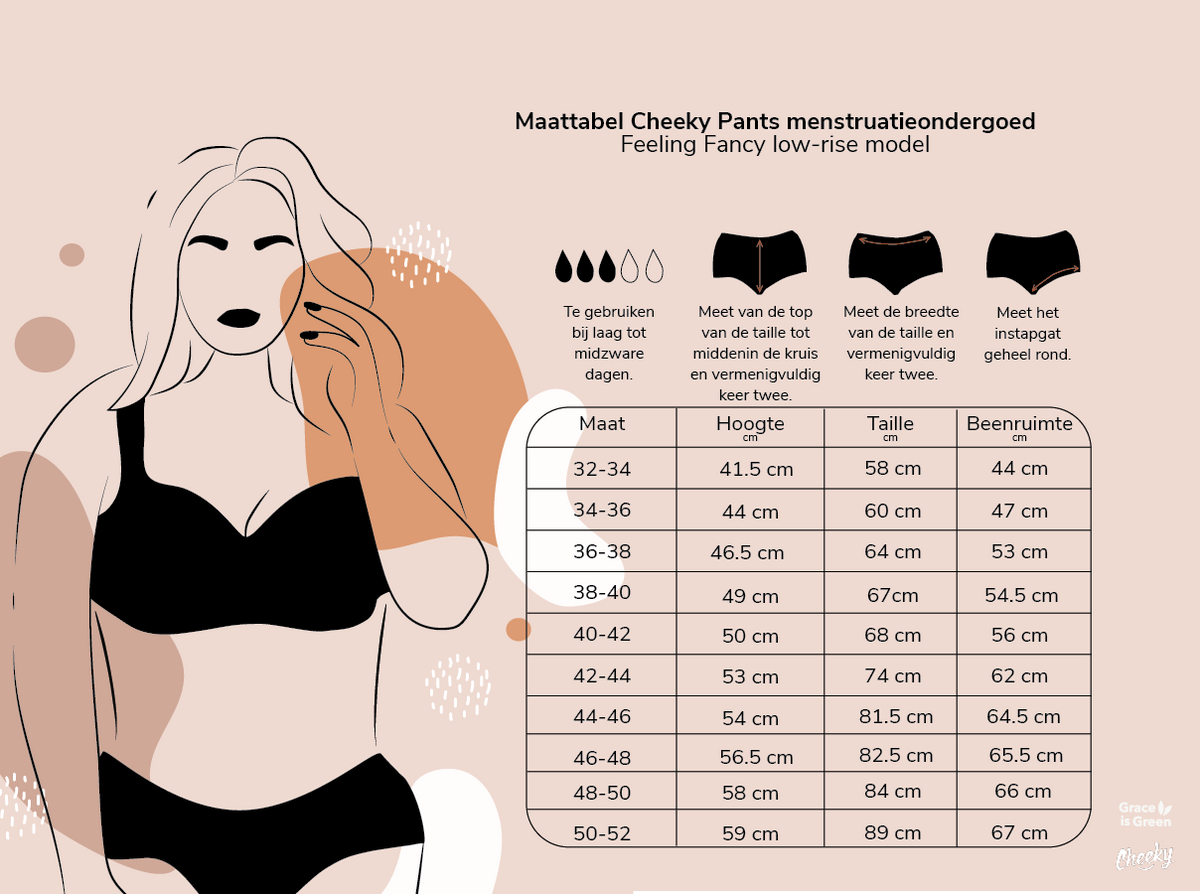 Set of 5 - Cheeky Pants menstrual underwear Feeling Fancy + Wetbag