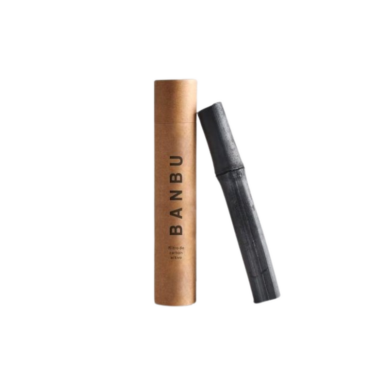 Active charcoal water filter