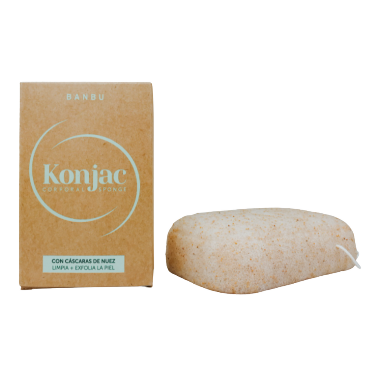 Exfoliating Konjac Sponge - Body