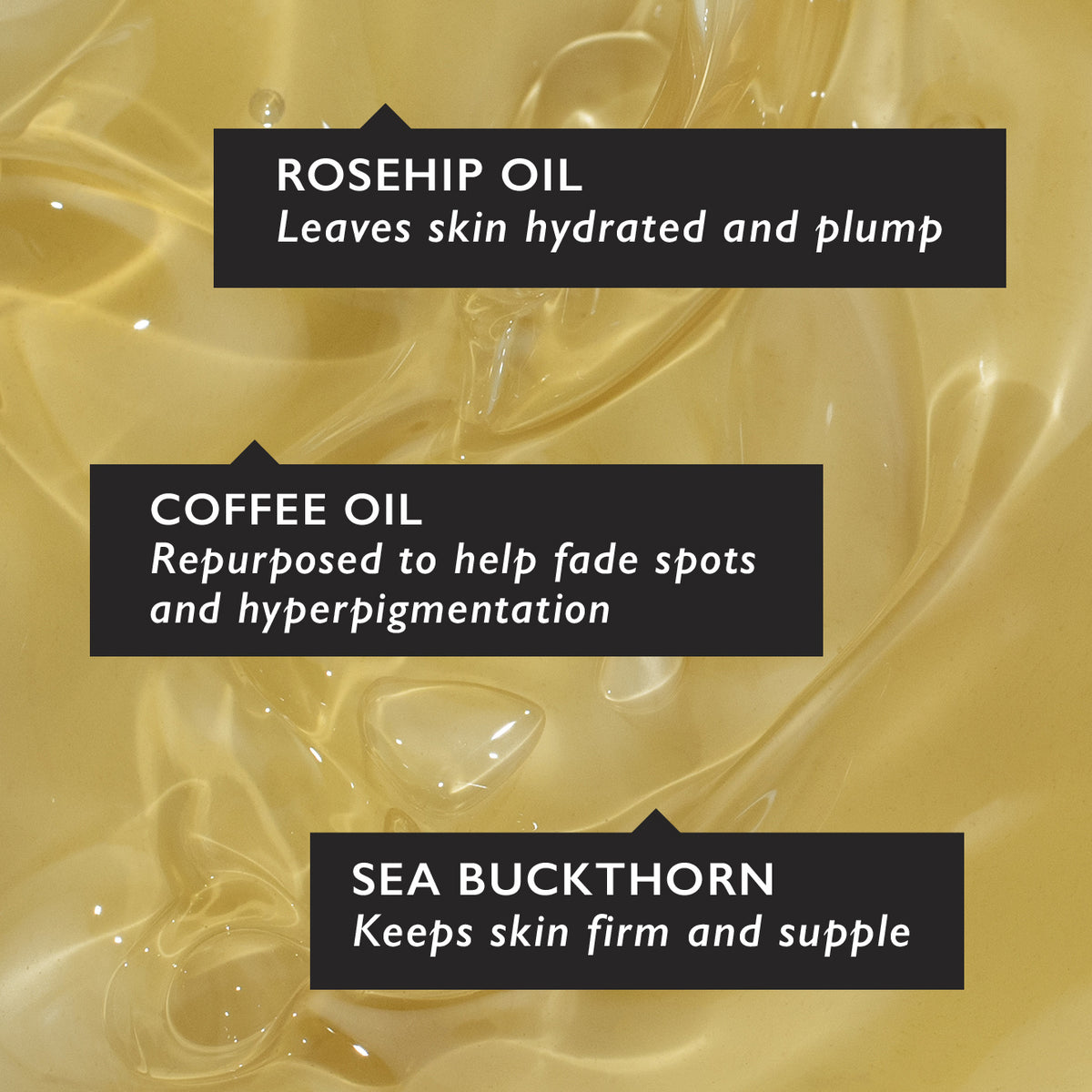 UpCircle - Facial Oil - Coffee & Rosehip - 30 ml