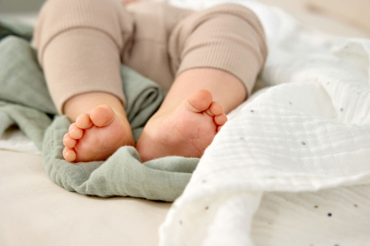 Lässig - Swaddle & Burp Multi-wipes - L