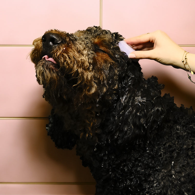 Furry Dog Conditioner Bar