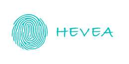 Hevea